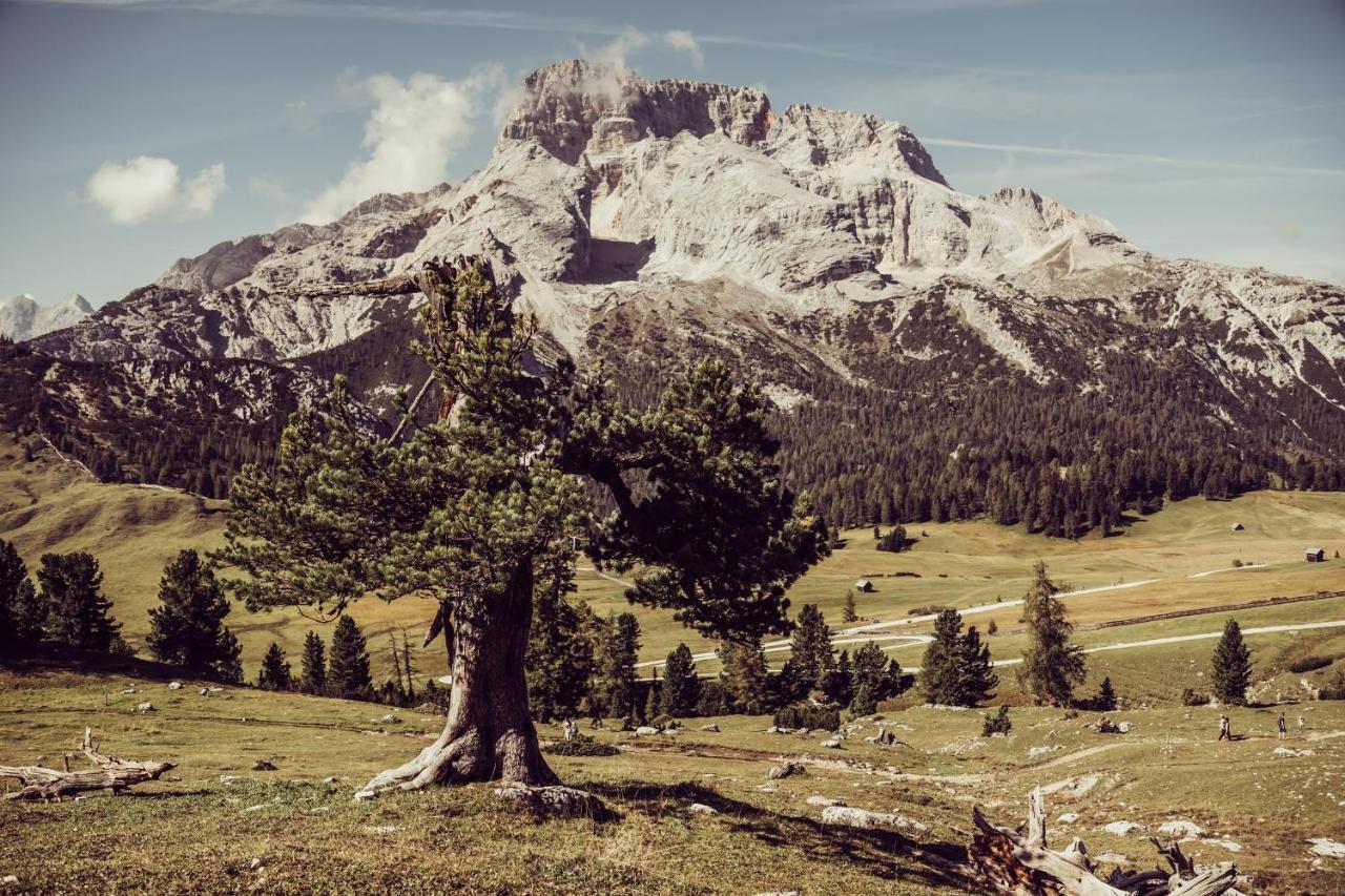 Garni Bergblick Hotel Braies  Ngoại thất bức ảnh